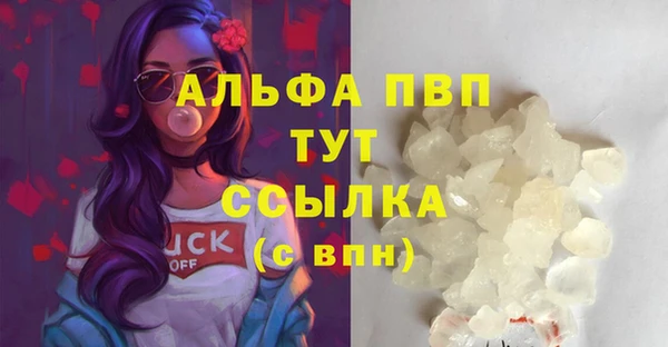 молекула духа Аркадак