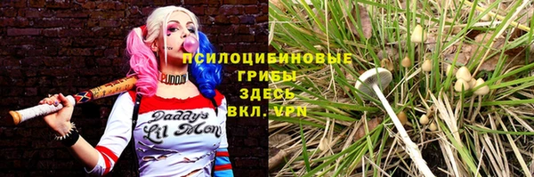 молекула духа Аркадак