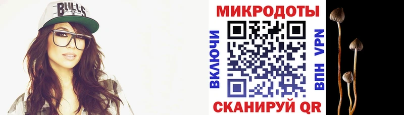 цены наркотик  Прохладный  Галлюциногенные грибы мицелий 